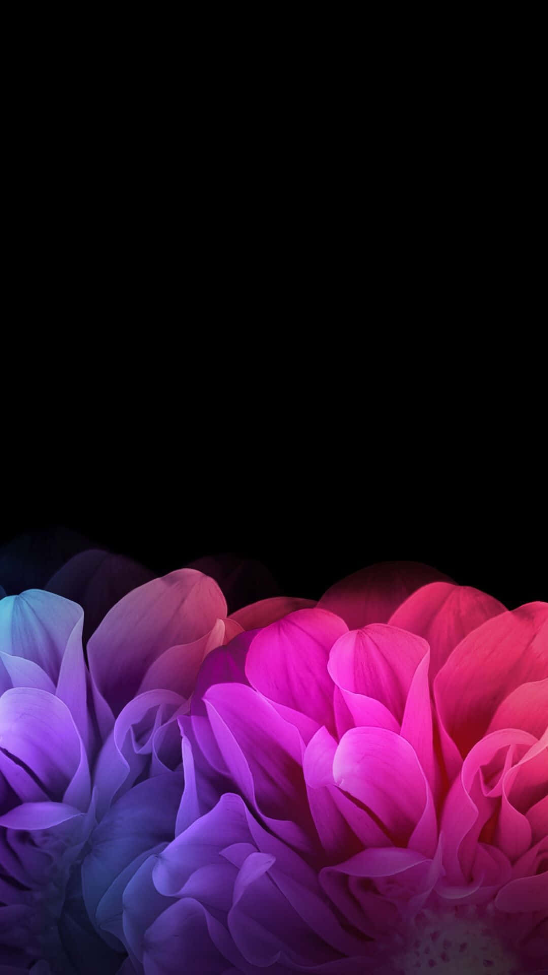 Embrace The Beauty Of Black And Pink Floral Background