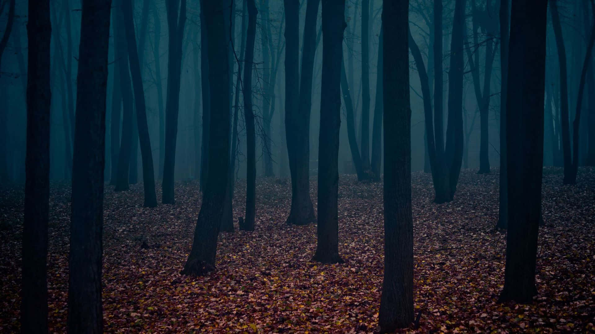 Embrace The Beauty Of Dark Autumn Days Background