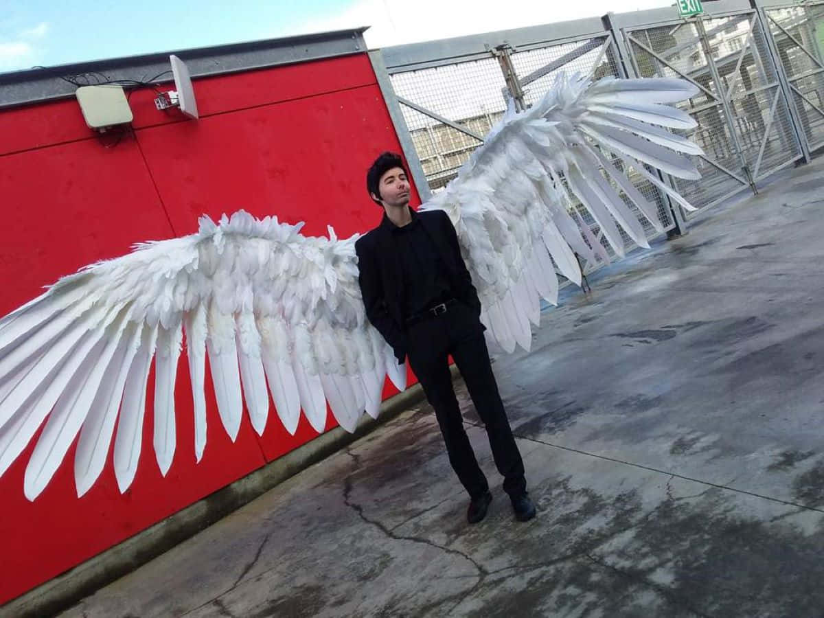 Embrace The Beauty Of Lucifer's Wings Background