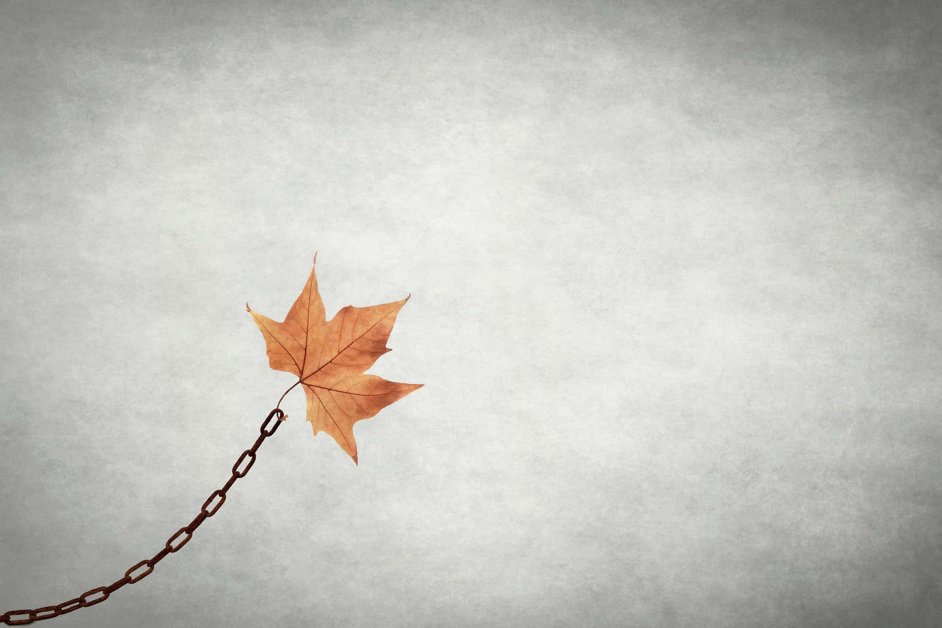 Embrace The Beauty Of Minimalist Autumn Background