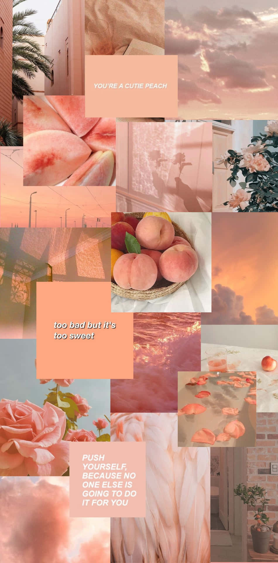 Embrace The Beauty Of Peach & Orange Background