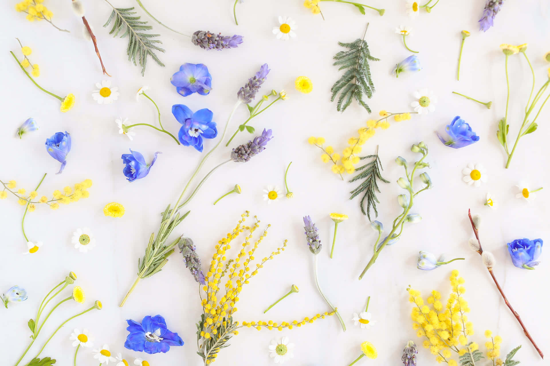 Embrace The Beauty Of Springtime With This Serene, Sunlit Aesthetic Wallpaper. Background
