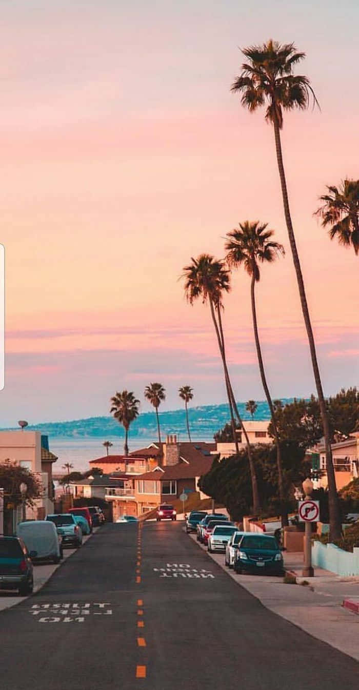 Embrace The Blissful Summer Days In California Background