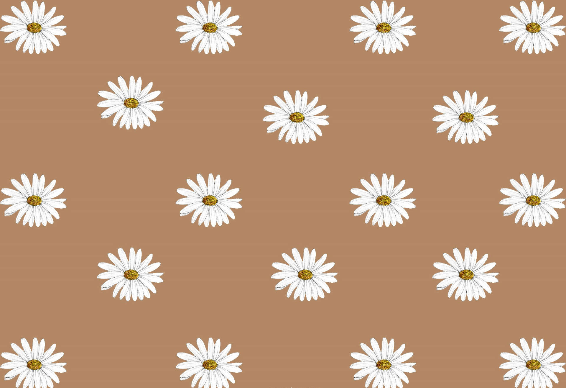 Embrace The Calmness Of Floral Beige Brown Aesthetic Background