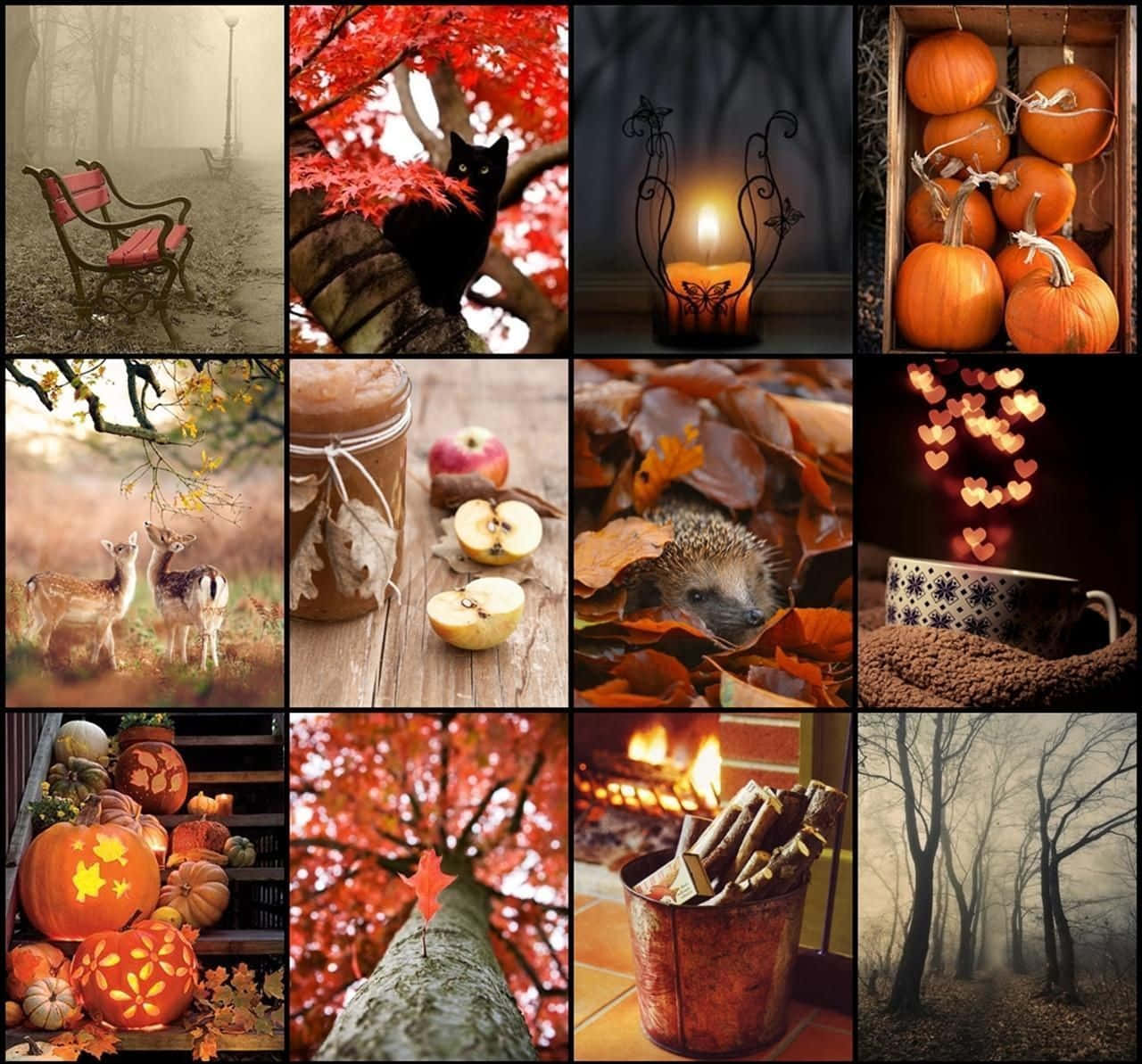 Embrace The Changing Of The Seasons With This Colorful Fall Collage Desktop Wallpaper! Background