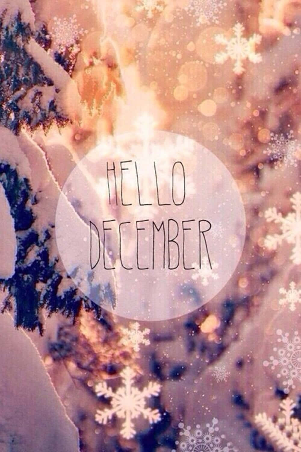 Embrace The Magic Of December Background