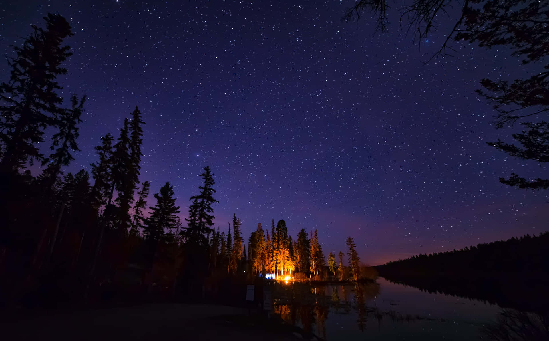 Embrace The Mysterious Beauty Of Nature At Night