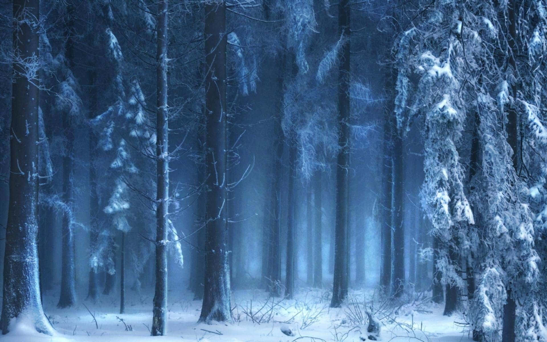 Embrace The Peace And Beauty Of Winter Forests Background