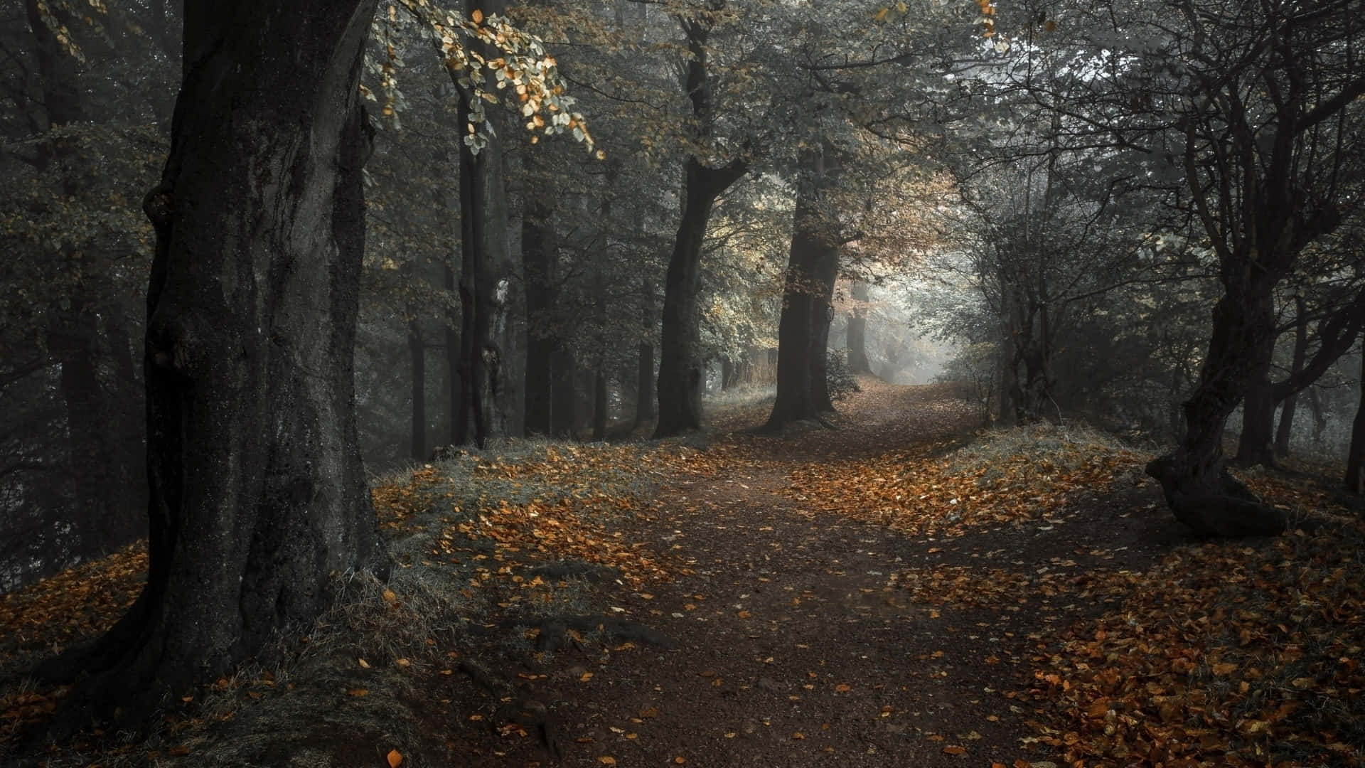 Embrace The Peacefulness Of Fall With This Charming Autumn Aesthetic Desktop. Background