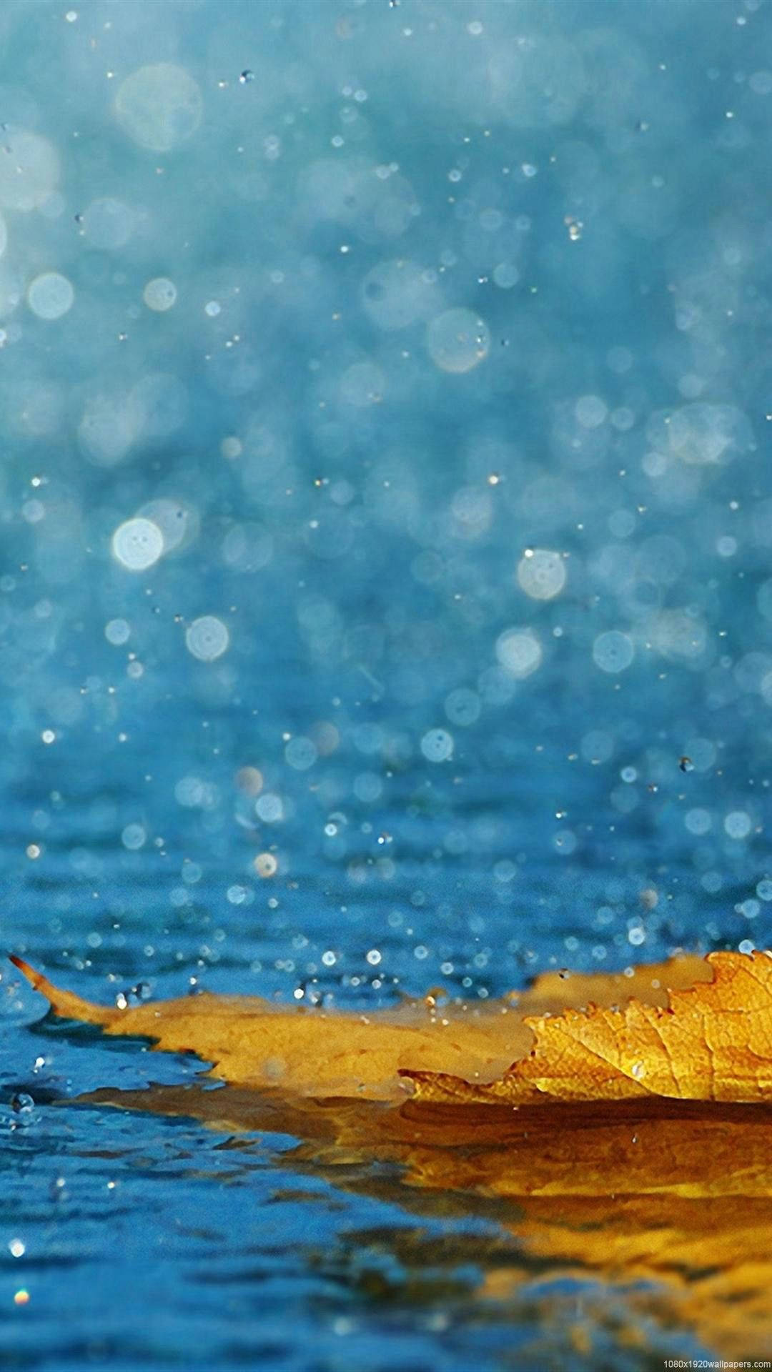 Embrace The Rain And Capture The Moment With Your Iphone Background