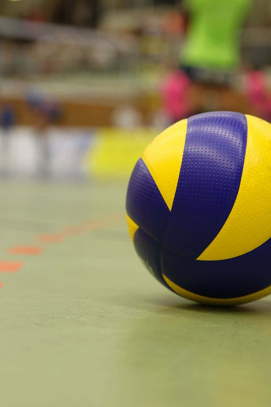 Embrace The Volleyball Fun! Background
