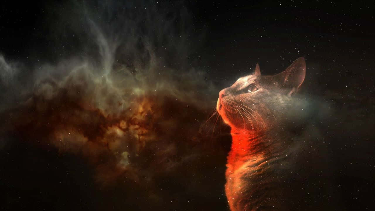 Embrace Your Inner Power With The Magnificent Galaxy Cat