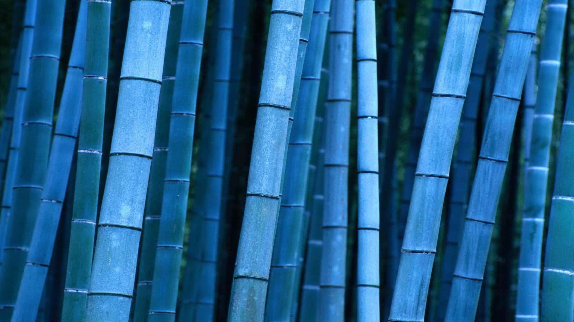 Embrace Zen With A Bamboo Desktop