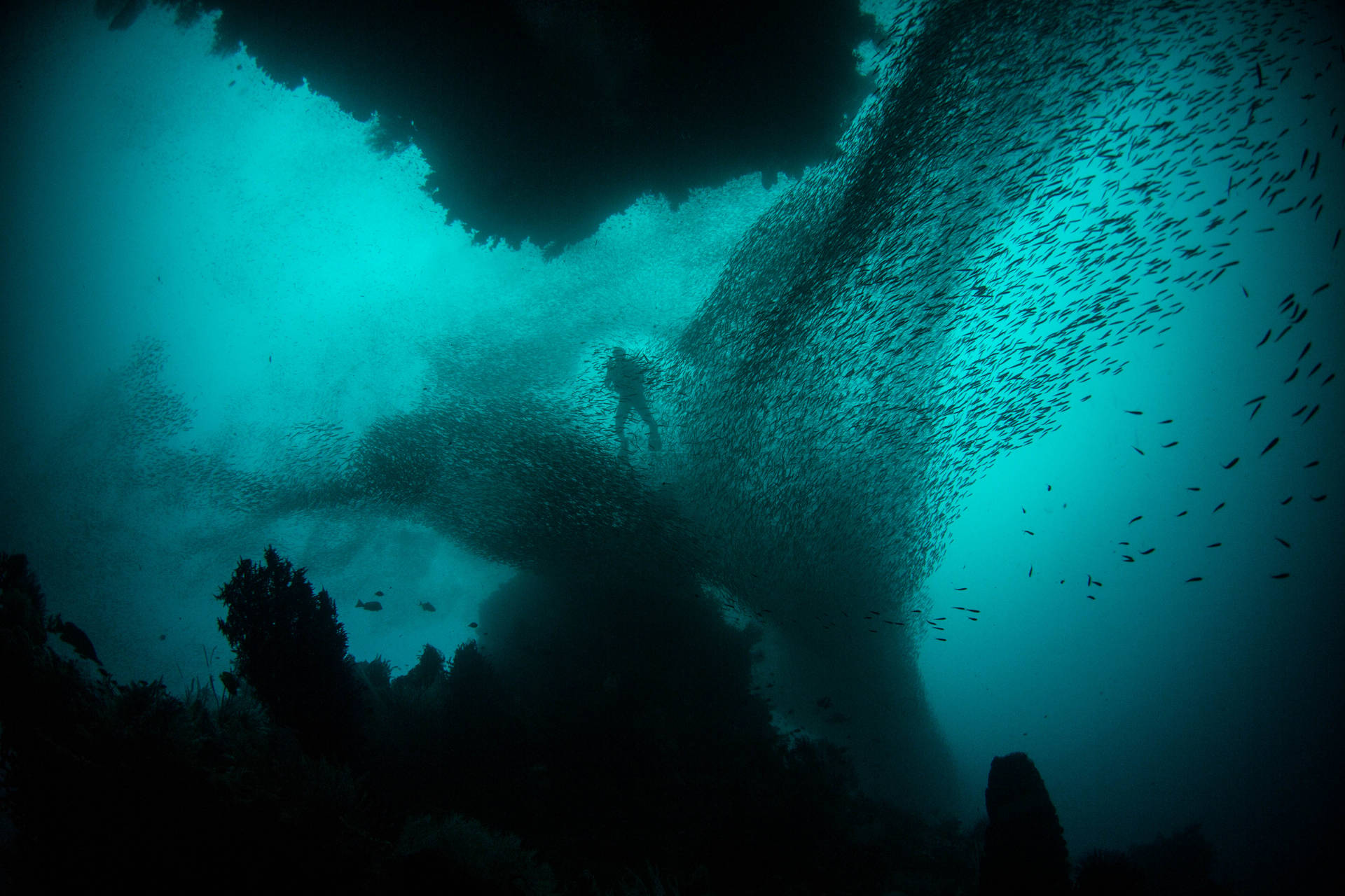 Embracing The Serenity Beneath: A Tranquil Underwater Scape Background