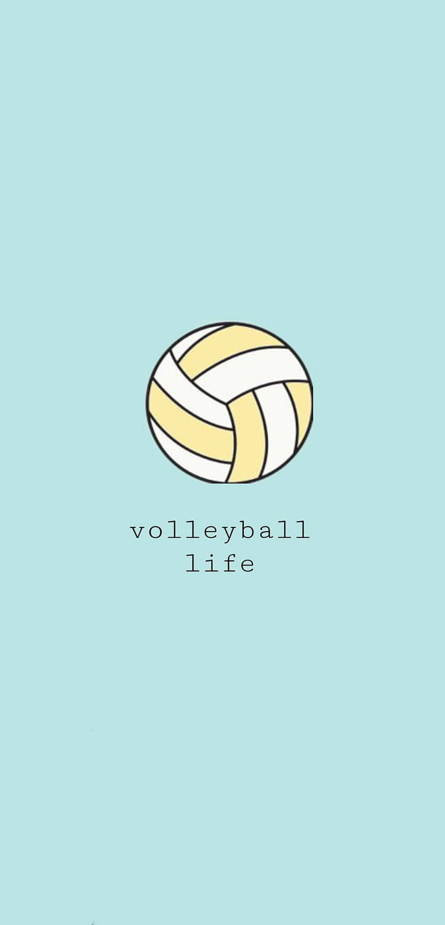 Embracing The Volleyball Aesthetic Background