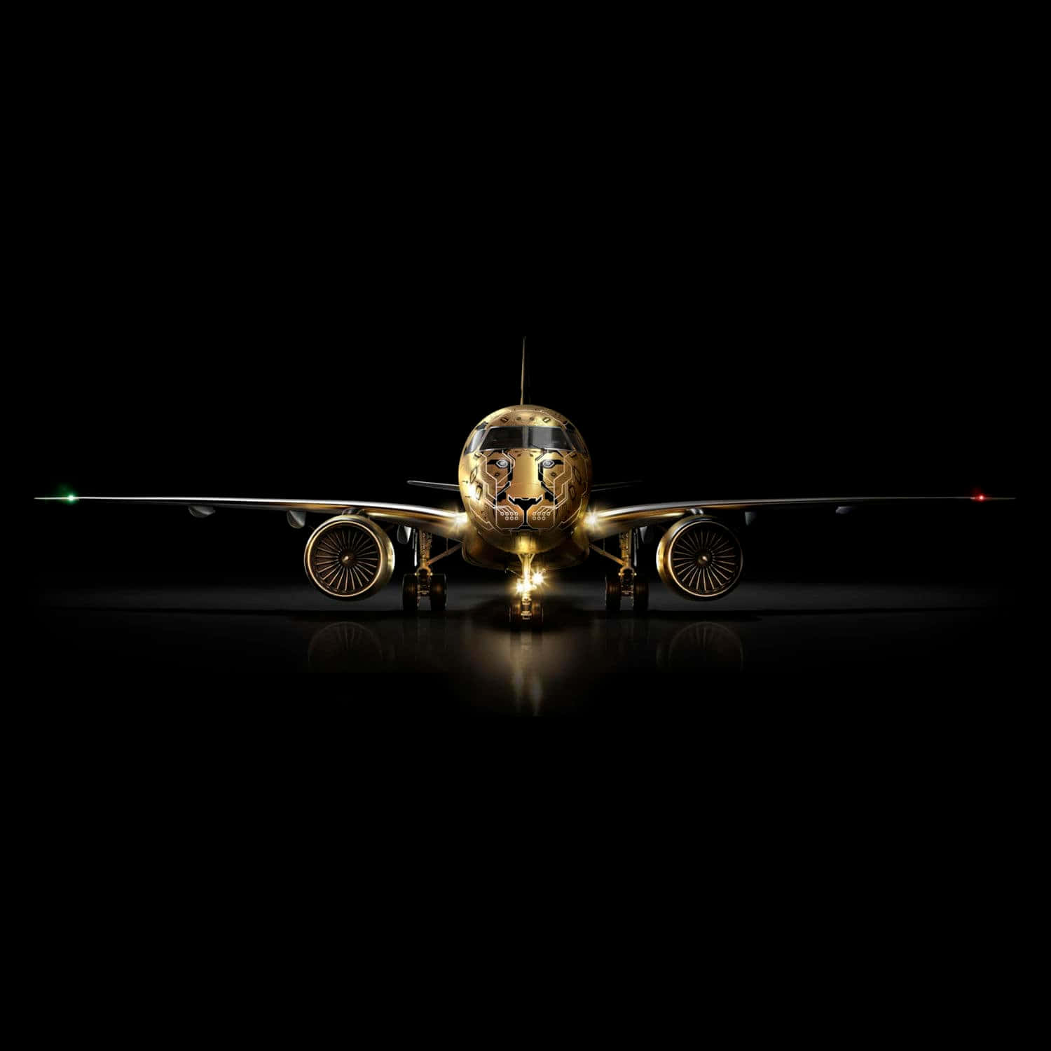 Embraer E175-e2 Small Airplane Tiger Design