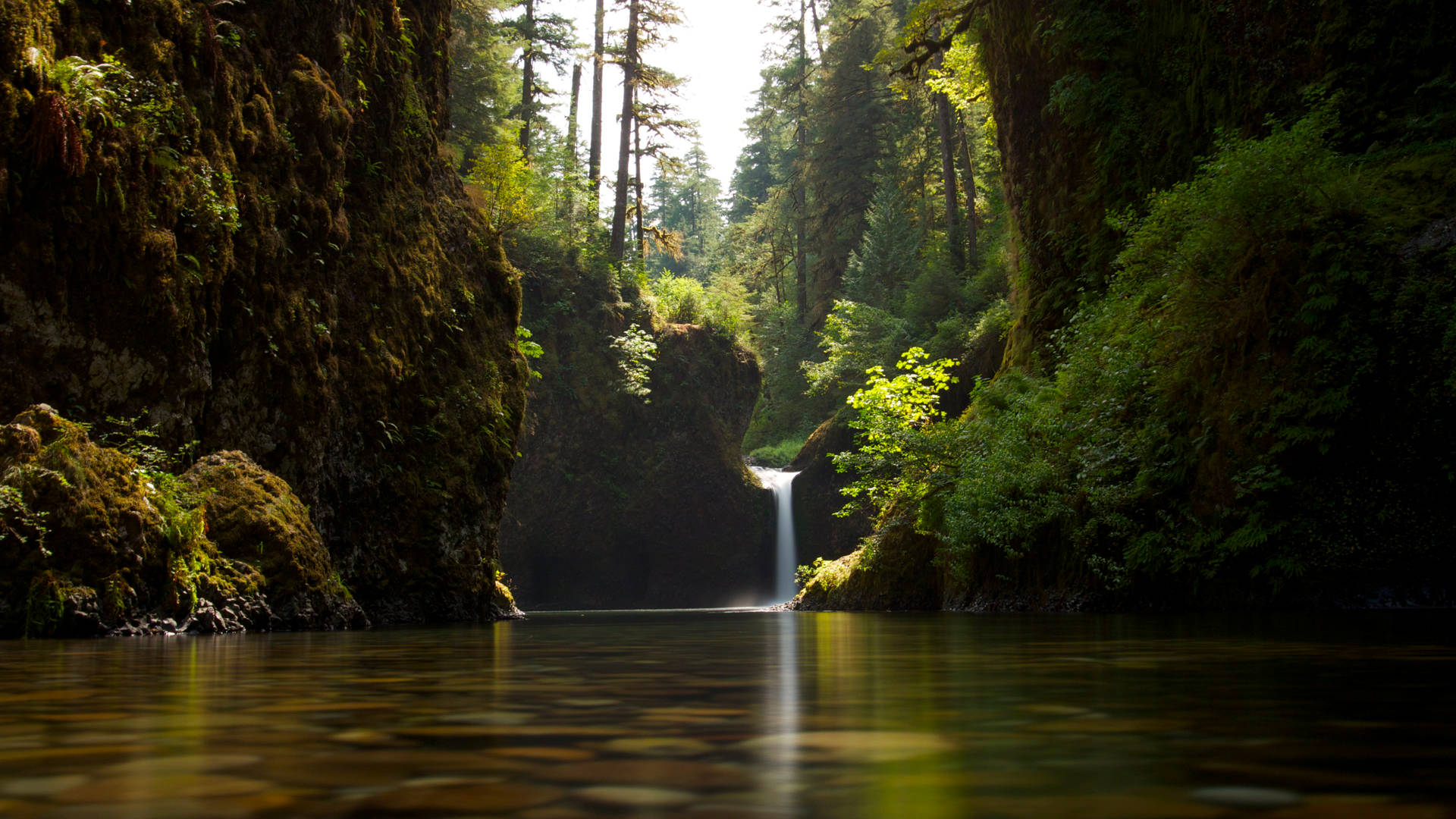 Emerald Bliss: A Mini Waterfall In Pristine Wilderness