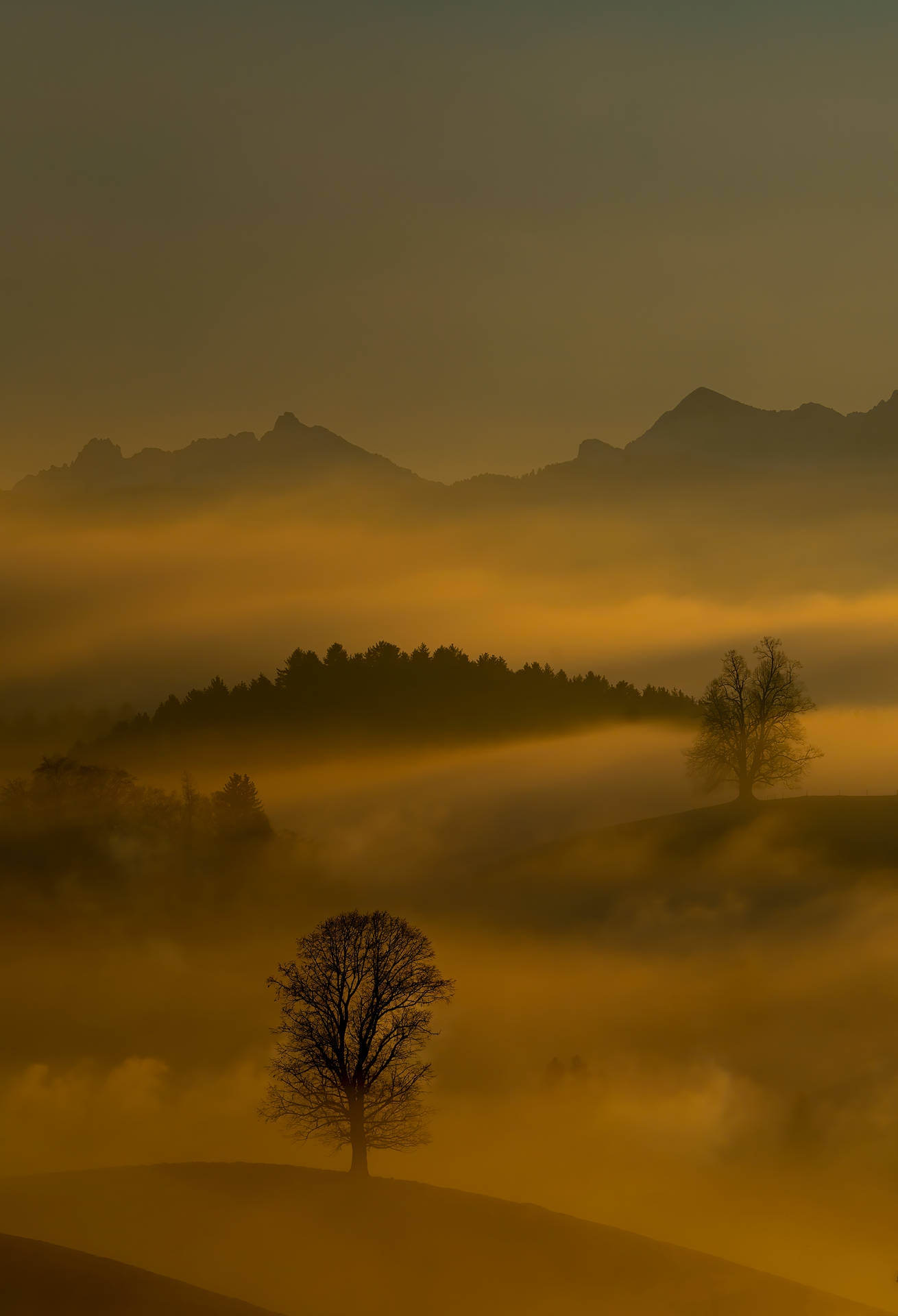 Emerald Green Mist In Mountain Background