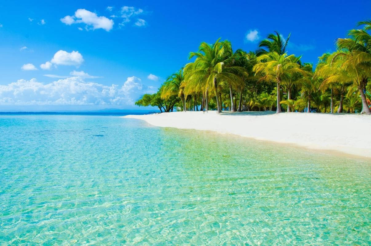 Emerald Green Waters In Sint Maarten Background