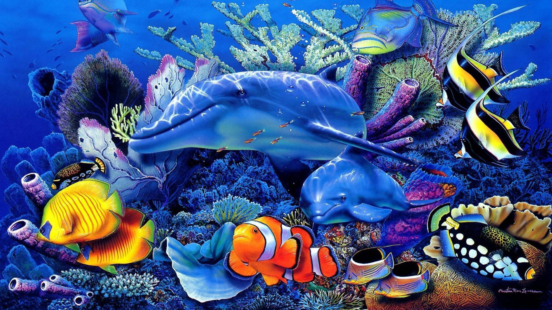 Emerging Dolphin Tropical Fish Background