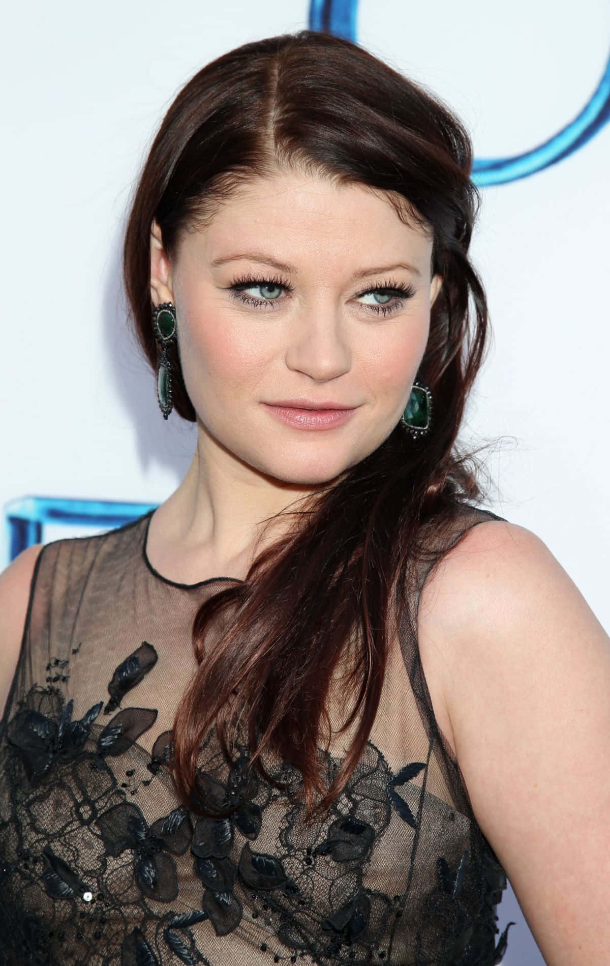 Emilie De Ravin Red Carpet Look Background