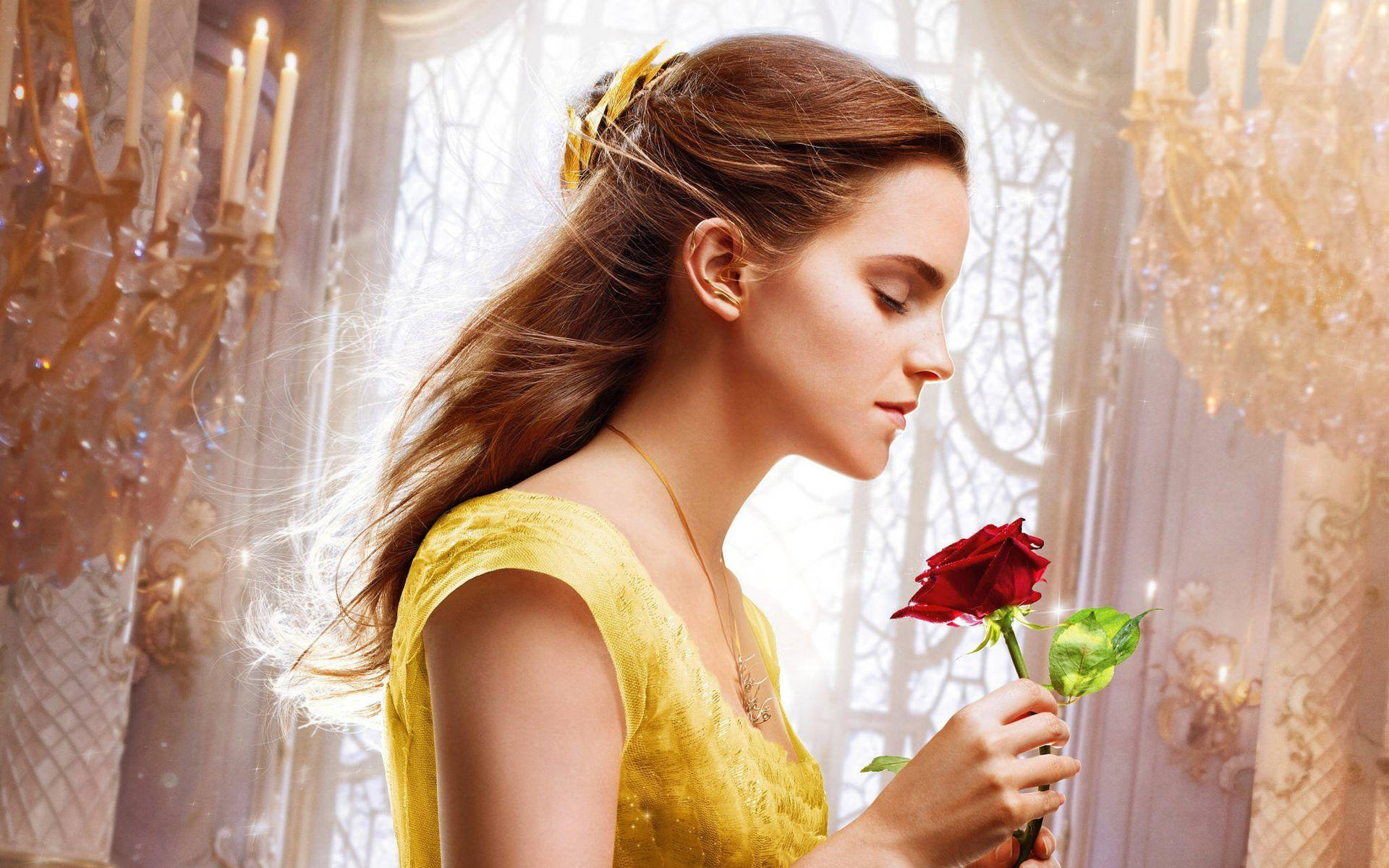 Emma Holding Beauty And The Beast Rose Background