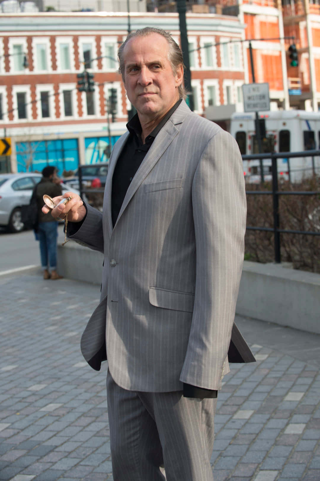 Emmy Nominated Actor Peter Stormare Background