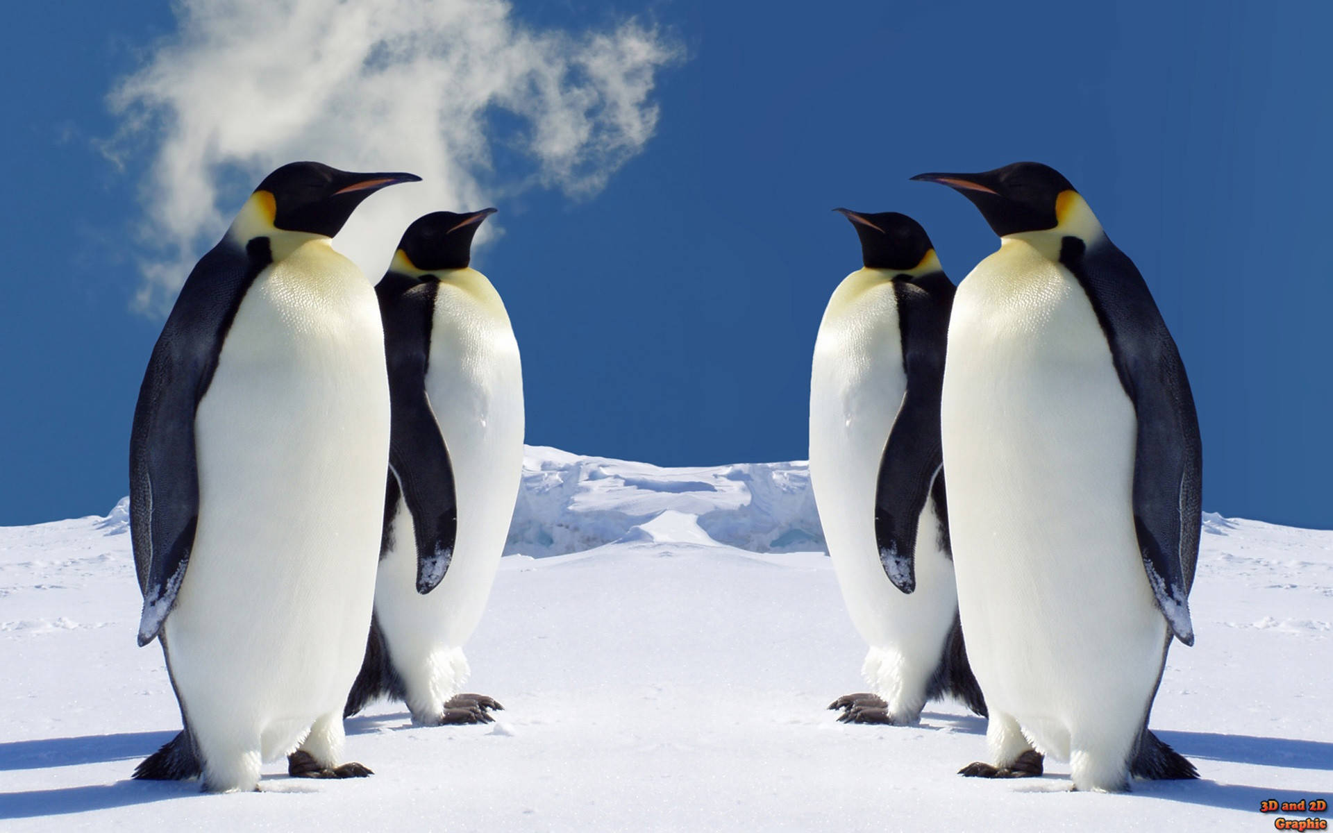 Emperor Penguin Animals On Snowy Mountain Background