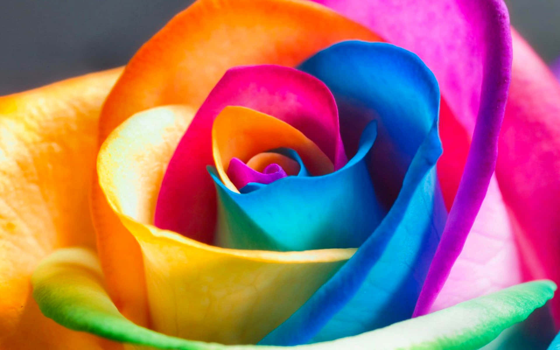Empower Yourself With Google Best Background