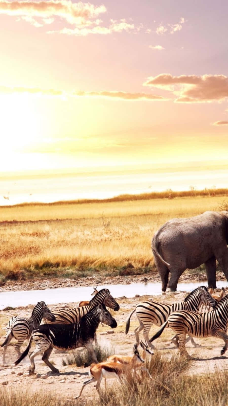 Empowering African Communities Through Connectivity