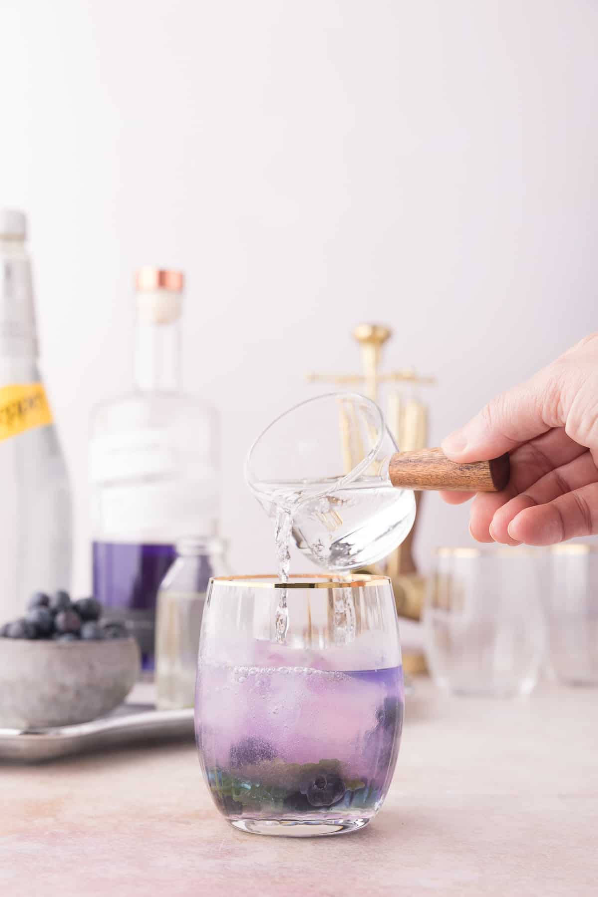 Empress 1908 Gin With Soda Water Background