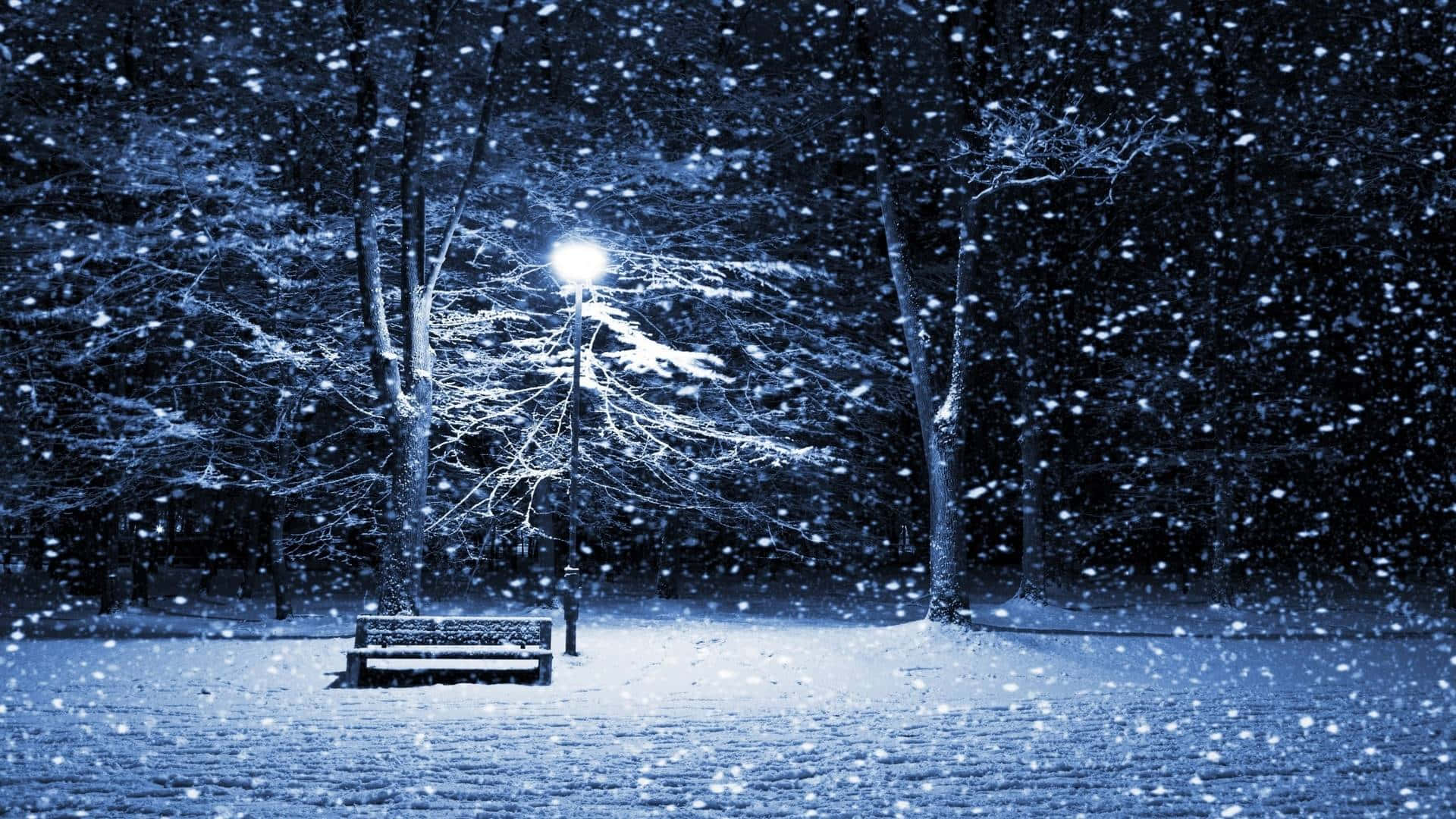 Empty Bench With Snow Falling Background