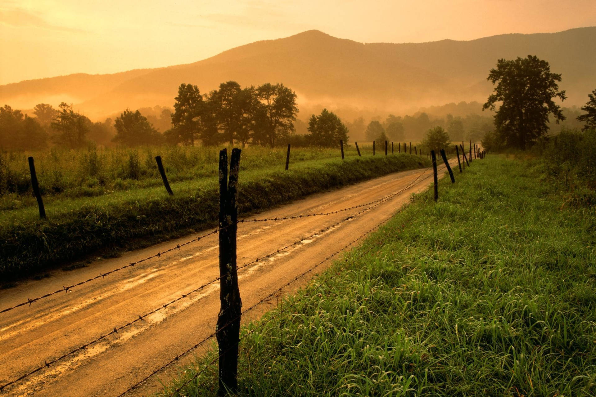 Empty Country Road Summer Desktop