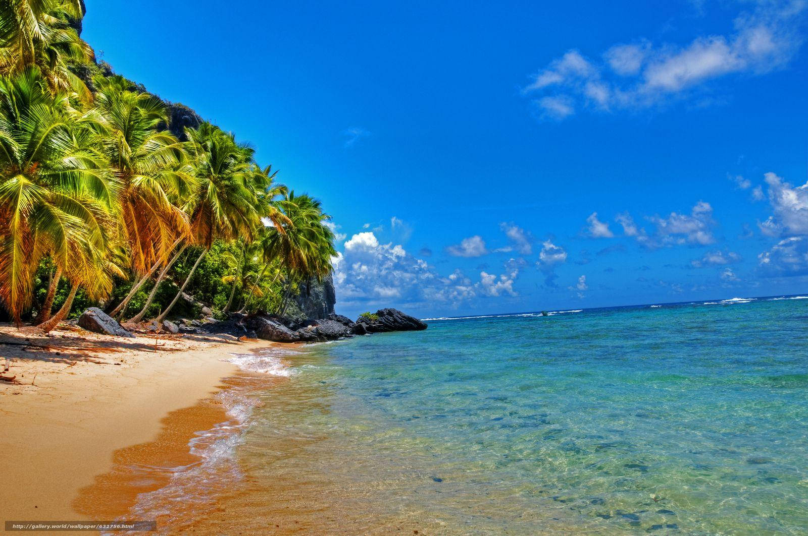 Empty Dominican Republic Beach