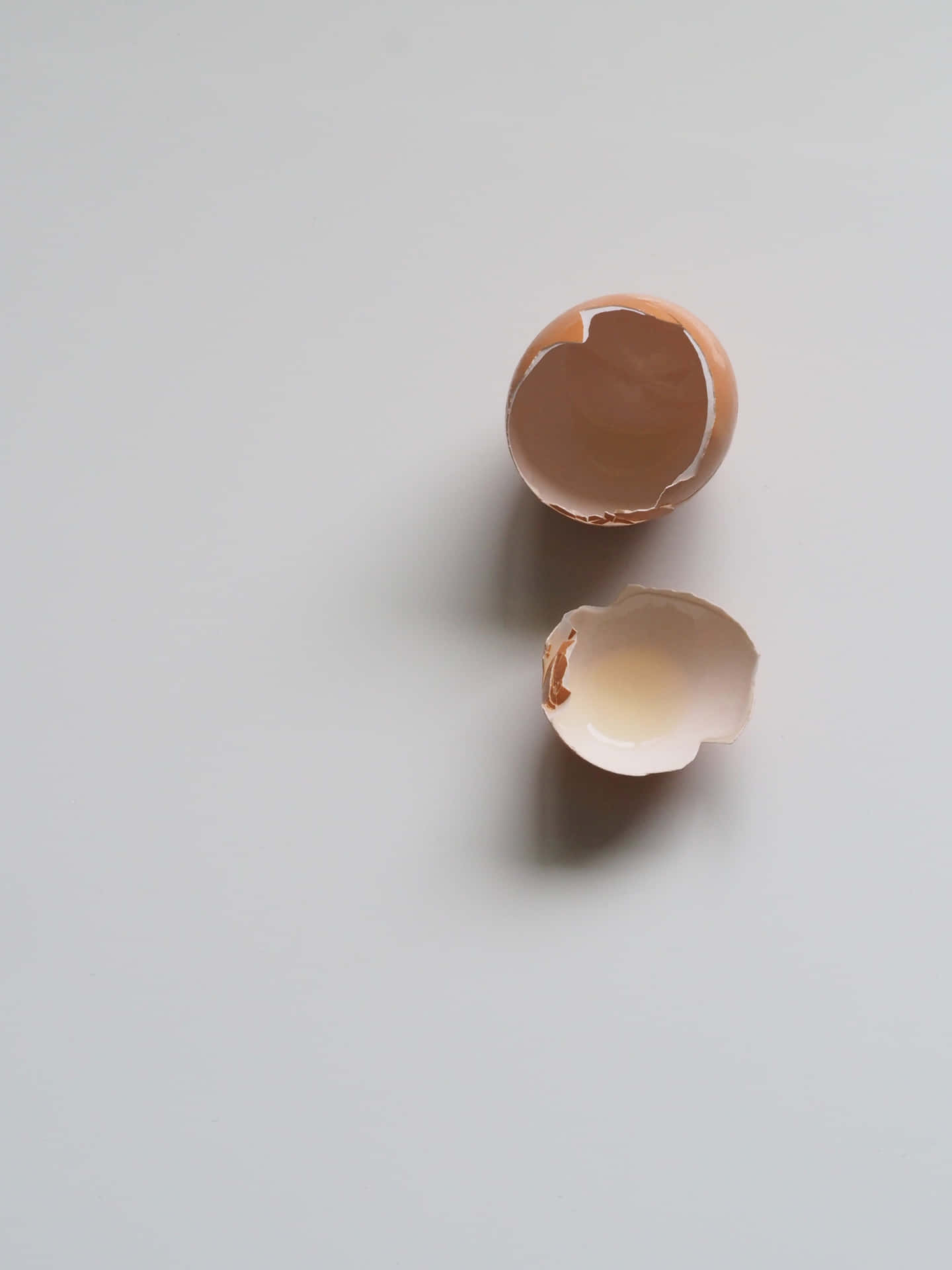 Empty Egg Shell Background