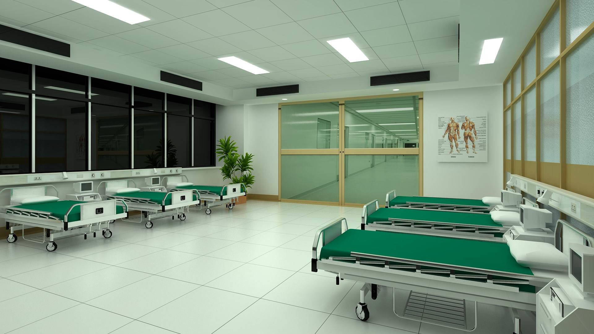 Empty Hospital Ward Green Beds Background