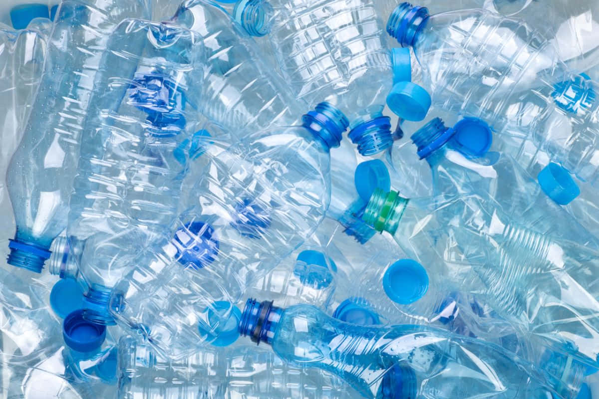 Empty Plastic Bottles