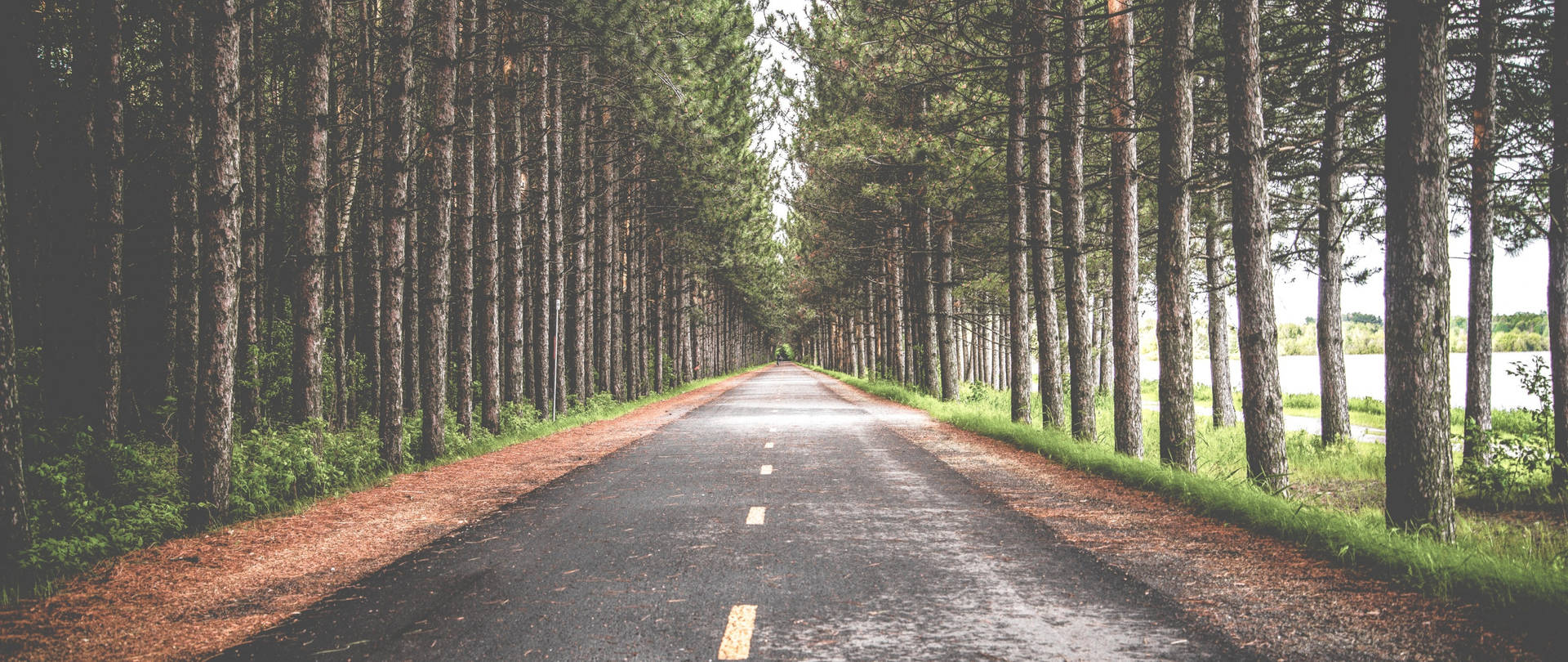 Empty Road 4k Ultra Widescreen Background