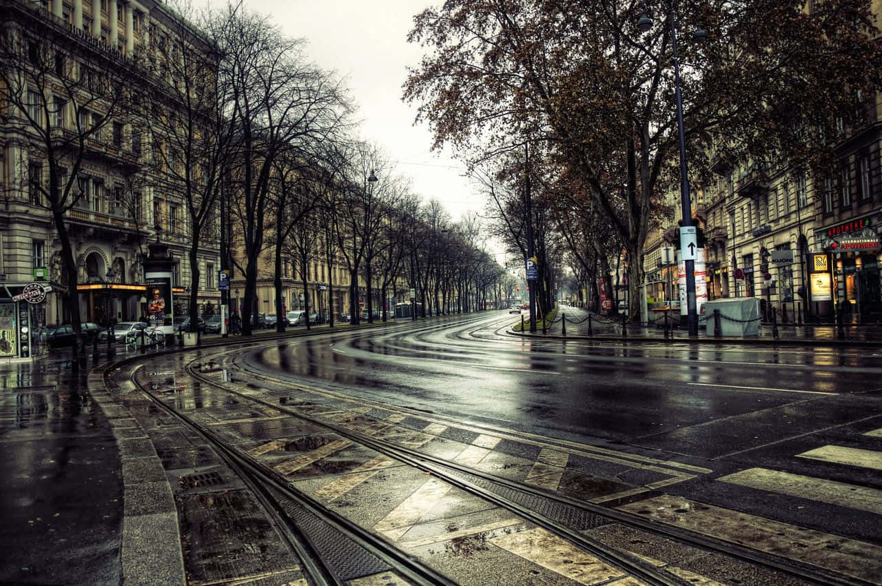 Empty Street Rain 4k