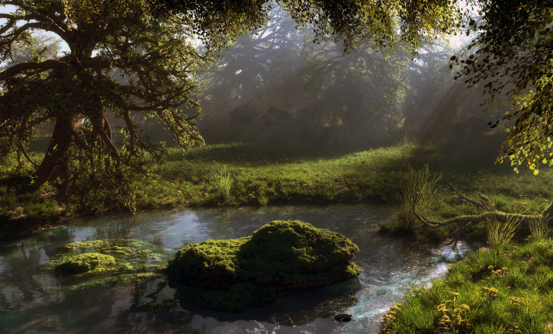 Enchanted And Mysterious Pond Background