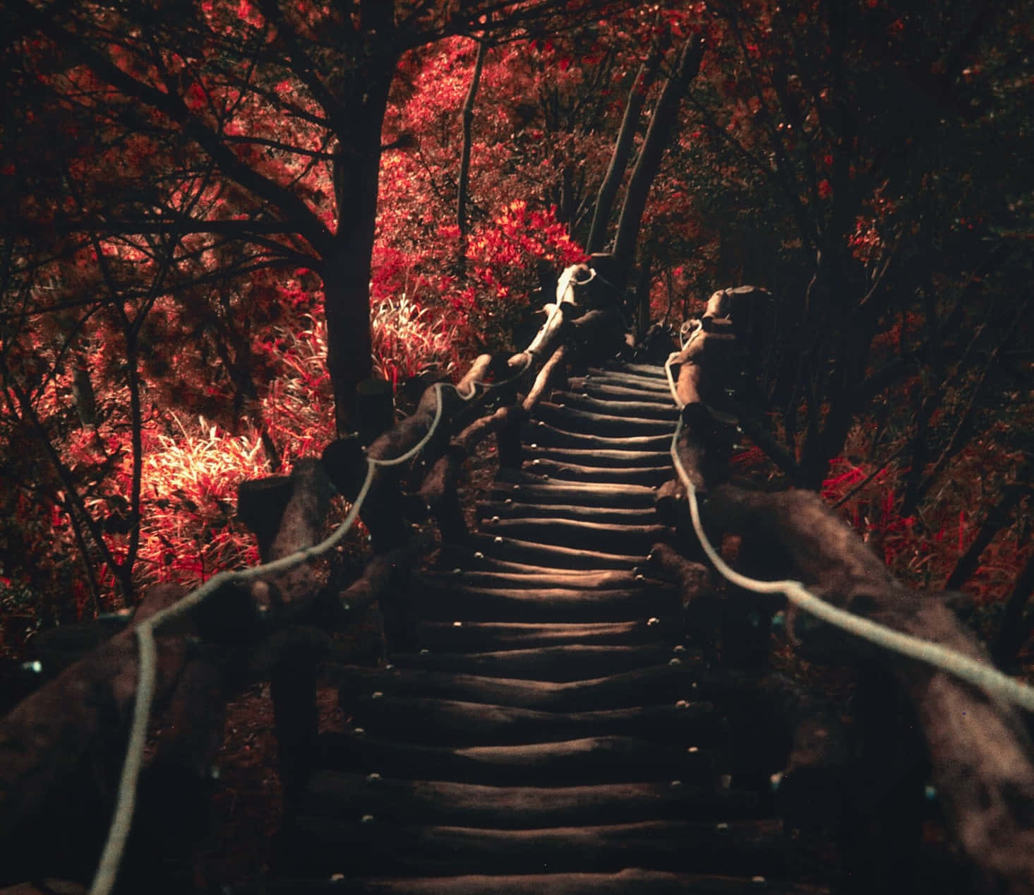 Enchanted Autumn Stairway Background