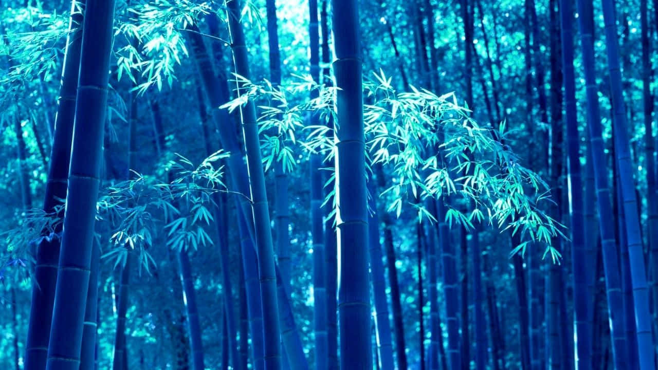 Enchanted_ Blue_ Bamboo_ Forest_ H D Background
