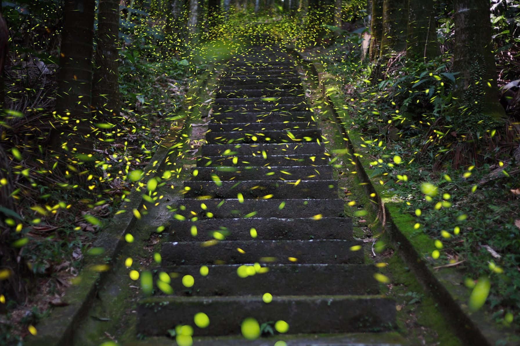 Enchanted Firefly Staircase