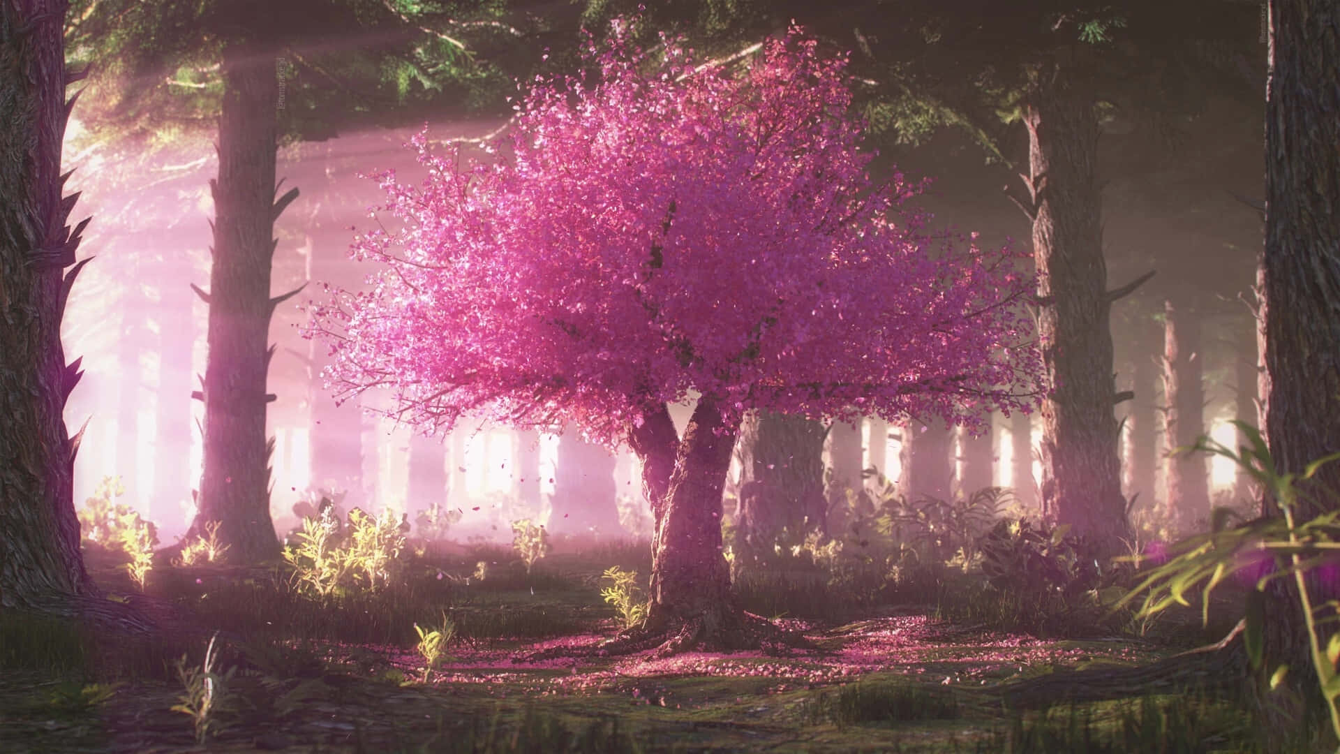 Enchanted Forest Cherry Blossom Tree Anime
