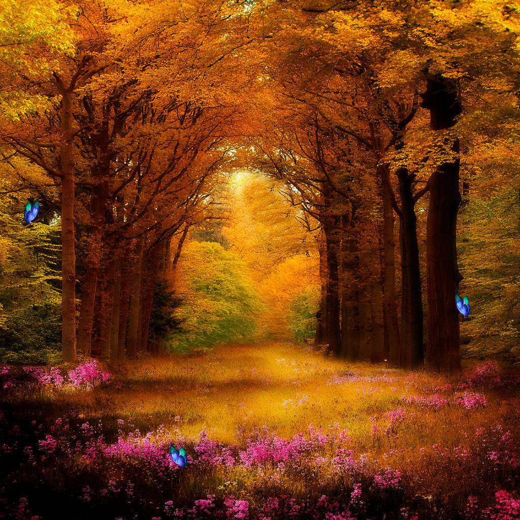 Enchanted Forest Covered In Fall Foliage Background