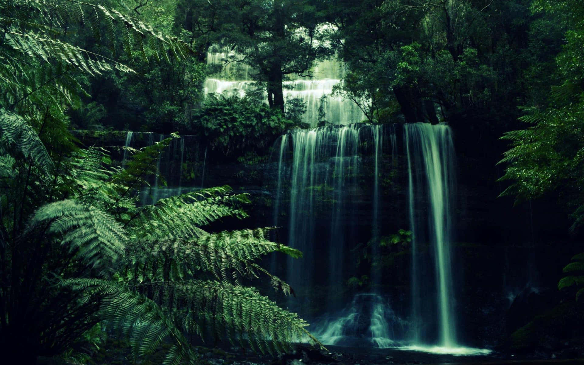 Enchanted_ Forest_ Waterfall.jpg Background