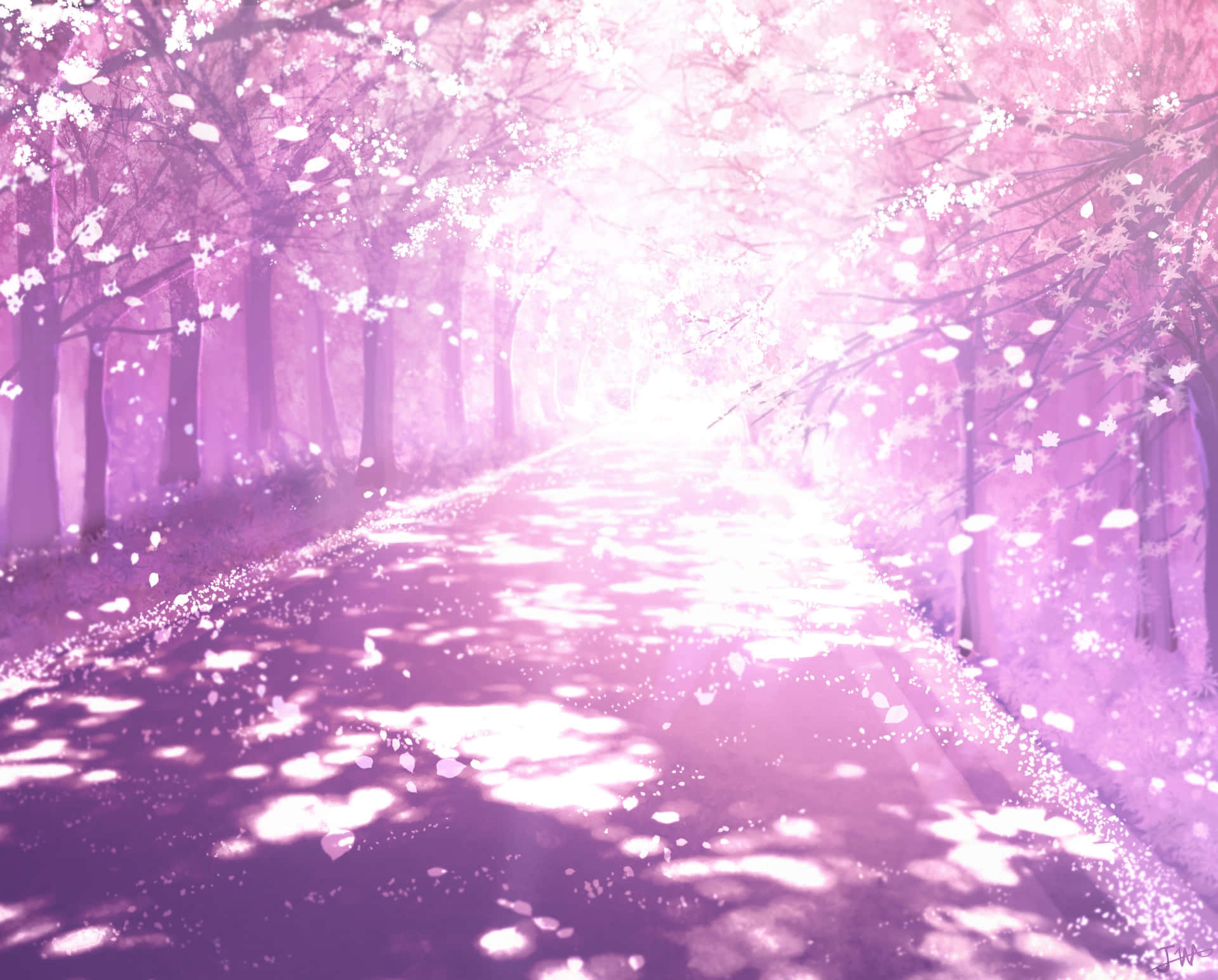 Enchanted Pink Sakura Lane Background