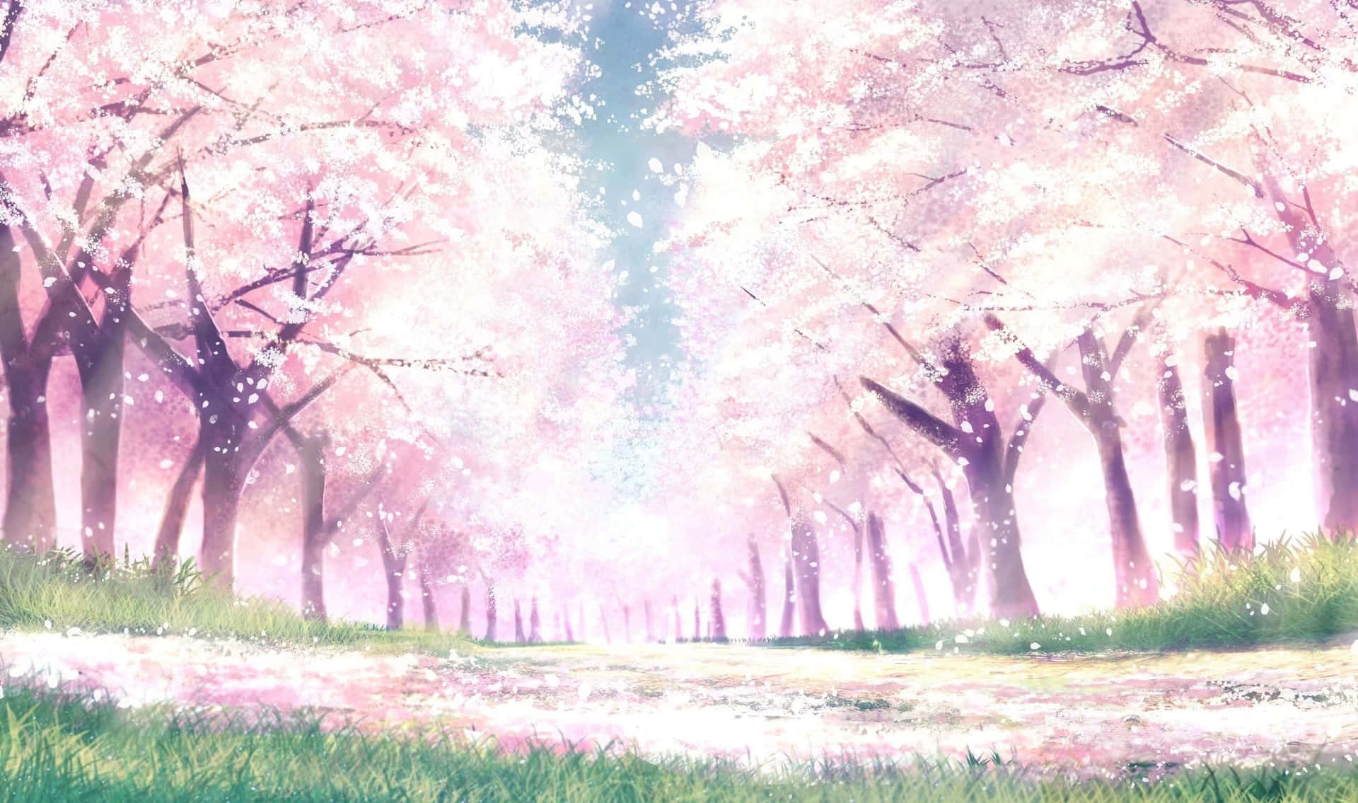 Enchanted Sakura Grove.jpg Background