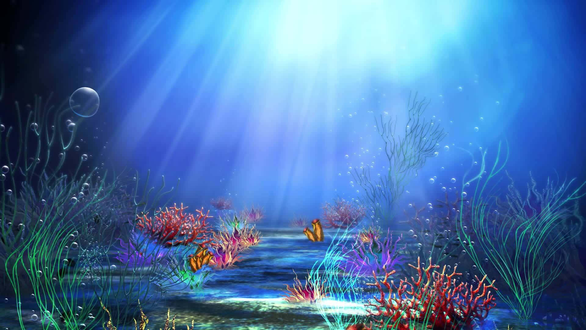 Enchanted Underwater Scene Background