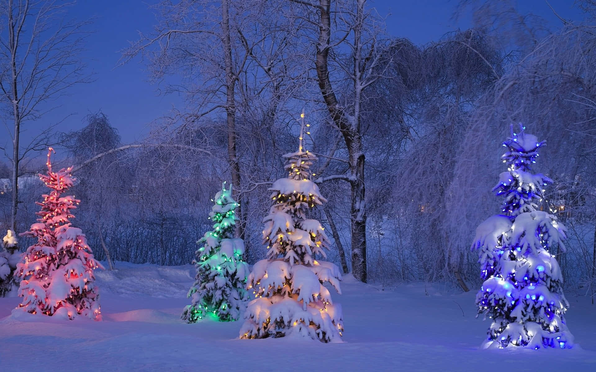 Enchanted_ Winter_ Evening Background